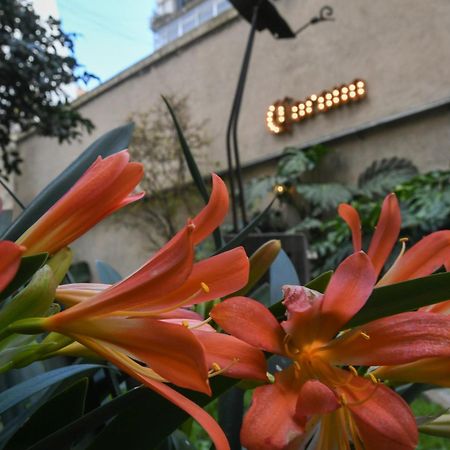 Casa Franca Recoleta Hostel Boutique Buenos Aires Zewnętrze zdjęcie
